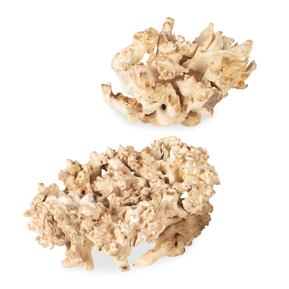 Elemental Root Indoor-outdoor Sculptures, S/2
