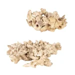 Elemental Root Indoor-outdoor Sculptures, S/2 - Image 3