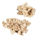 Elemental Root Indoor-outdoor Sculptures, S/2 - Image 5