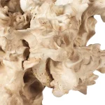 Elemental Root Indoor-outdoor Sculptures, S/2 - Image 7