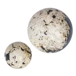 Nouveau Indoor-outdoor Spheres, S/2 - Image 3