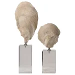 Oyster Shell Sculptures, S/2 - Image 4