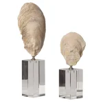 Oyster Shell Sculptures, S/2 - Image 9