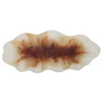 Organic Elegance Bowl - Image 10