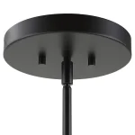 Ebony Elegance, 8 Lt Chandelier - Image 9