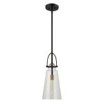 Saugus, 1 Lt Pendant - Image 6