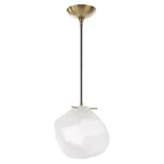 Geodesic, 1 Lt Pendant - Image 6