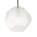 Geodesic, 1 Lt Pendant - Image 9