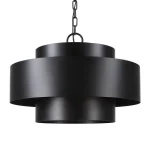 Youngstown, 4 Lt Pendant - Image 4