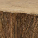 Woods Edge Coffee Table, Sierra - Image 3