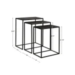 Coreene Nesting Tables, Black, S/3 - Image 8