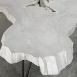 Trillium Coffee Table - Image 4