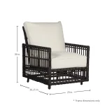 Newport N-dura Resin Wicker Outdoor Woven Spring Lounge Chair - Image 3