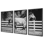 Galloping Forward Framed Prints, S/3 - Image 4