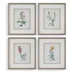 Heirloom Blooms Study Framed Prints, S/4