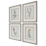 Heirloom Blooms Study Framed Prints, S/4 - Image 5