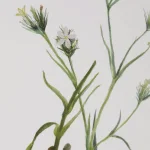 Botanical Flowers Framed Prints, S/9 - Image 6