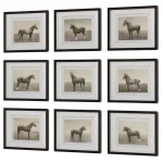 Equine Dynasty Framed Prints, S/9 - Image 5