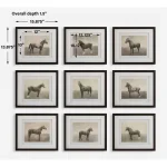 Equine Dynasty Framed Prints, S/9 - Image 8