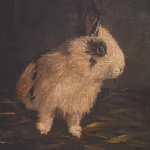 Resting Bunny Framed Prints, S/9 - Image 6