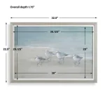 Tranquil Shorebirds On The Sand Framed Print - Image 7