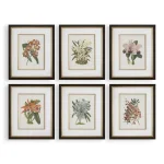 Orchid Botanical Framed Prints, S/6