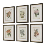 Orchid Botanical Framed Prints, S/6 - Image 4