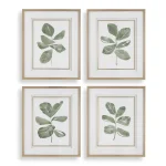 Fiddle Head Leaf Framed Prints, S/4