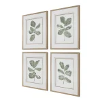 Fiddle Head Leaf Framed Prints, S/4 - Image 5