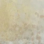 Now & Then Hand Painted Canvases, S/4 - Image 8