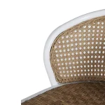 Havana Cane N-dura Resin Wicker Outdoor Counter Stool 24 In.