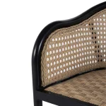 Havana Cane N-dura Resin Wicker Outdoor Arm Chair - Image 9