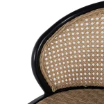 Havana Cane N-dura Resin Wicker Outdoor Side Chair