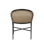 Havana Cane N-dura Resin Wicker Outdoor Side Chair - Image 9