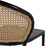 Havana Cane N-dura Resin Wicker Outdoor Side Chair - Image 10
