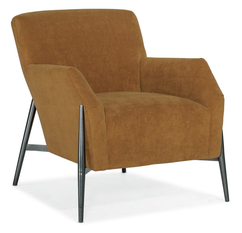 Living Room Ace Chair