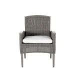 Qs Astoria Arm Chair, Oyster With Linen Dove Cushions - Image 4