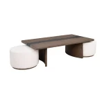 Lyra Rectangular Coffee Table - Image 10