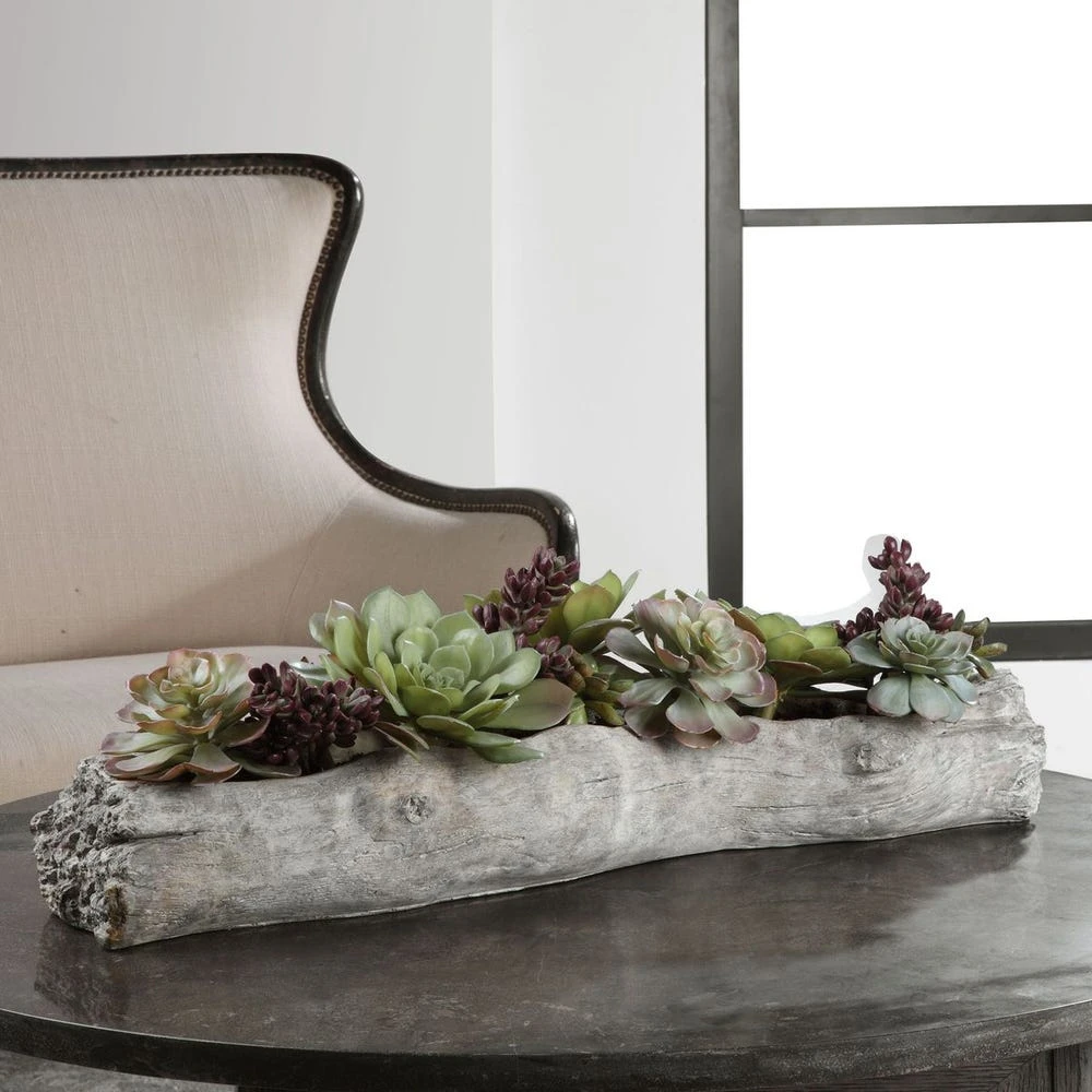 60174-106197245 Charita Succulents - Image 1