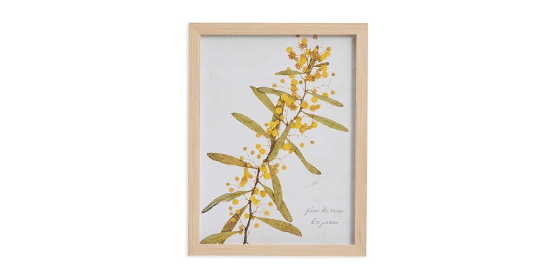 BAS817D12X16-101301632 Golden Rod Branch - Image 1