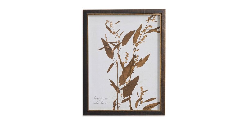 BAS818C12X16-101301643 Sepia Branches - Image 1