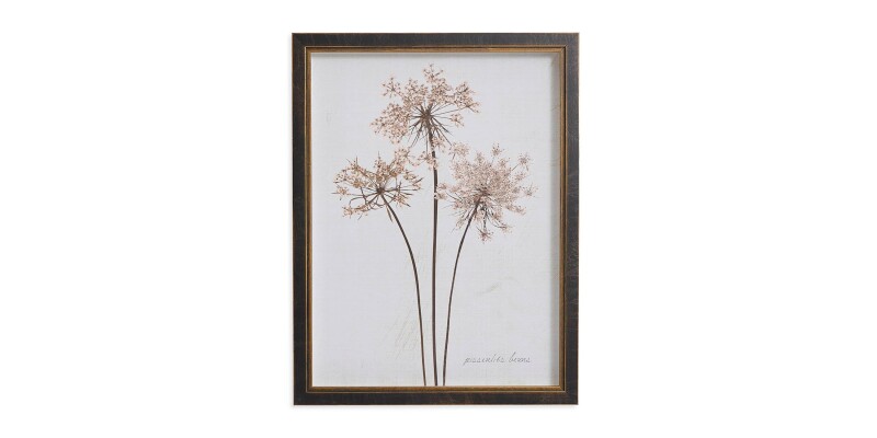 BAS818E12X16-101301647 Sepia Pressed Dandelions - Image 1