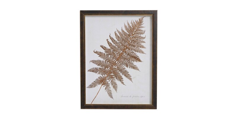 BAS818G12X16-101301649 Sepia Fern Frond - Image 1