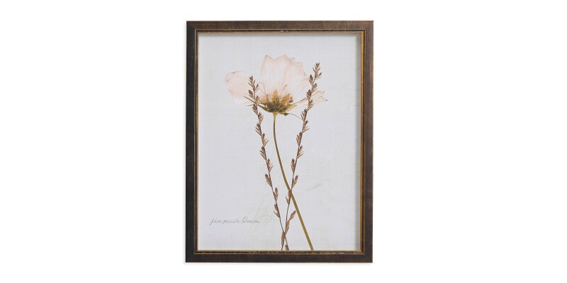 BAS818H12X16-101301651 Sepia Pressed Wildflower II - Image 1