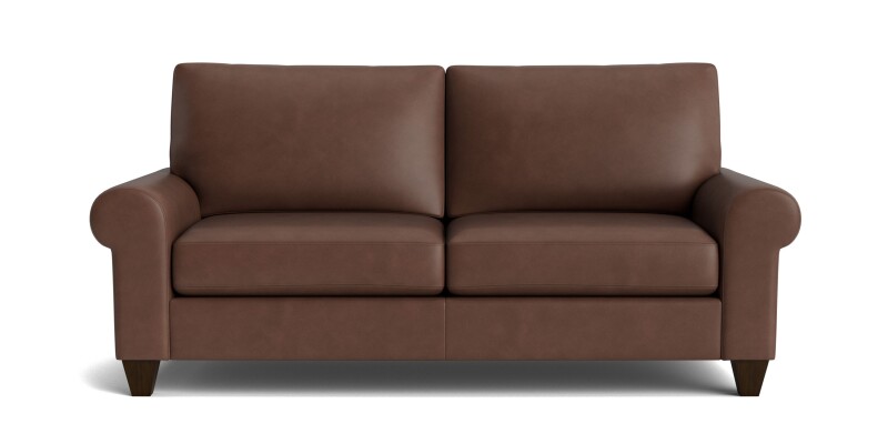 C20052SFL53-101313822 True Custom™ True Custom® Leather Large Roll Arm Studio Sofa - Image 1