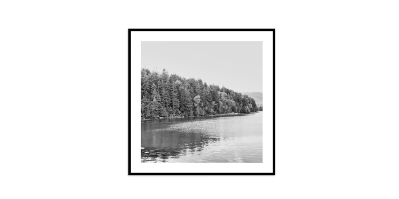 EKNACDIA28X28-101366164 Acadia Tree Line - Image 1